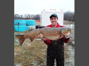 Asian carp reproduce in Great Lakes watershed