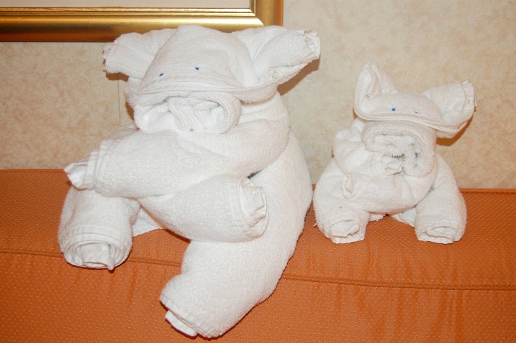 cruise towel animals