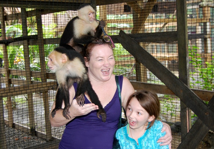 monkeys roatan